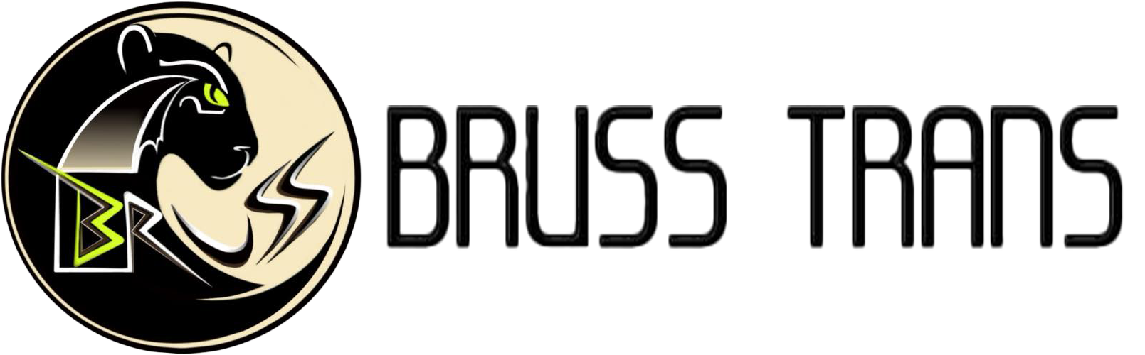 Bruss Trans logo